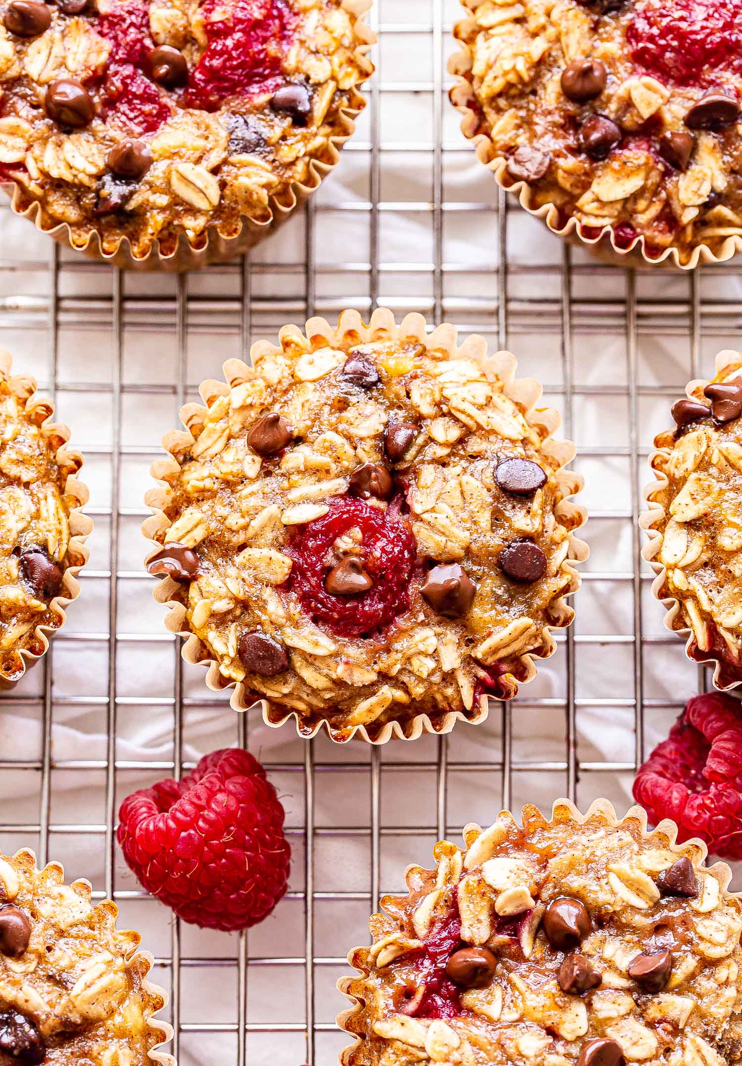 Gluten-Free Raspberry Chocolate Chip Oatmeal Cups for Meal Prep